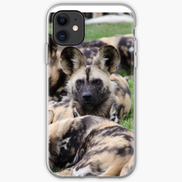 African Painted Dog iPhone case iPhone Soft Case