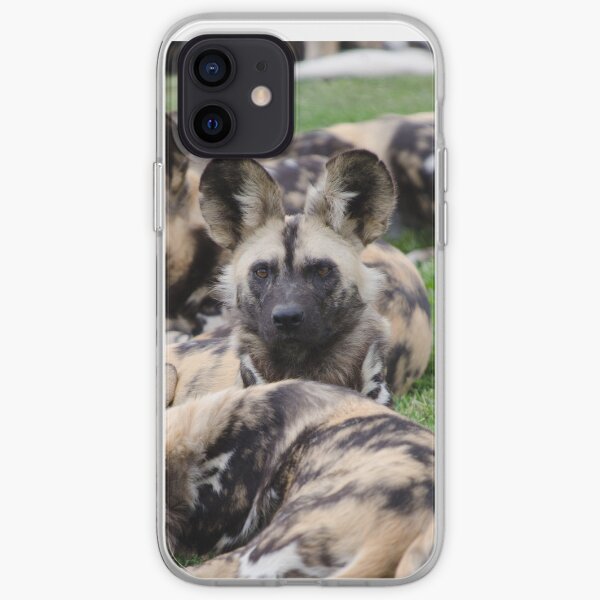 African Painted Dog iPhone case iPhone Soft Case