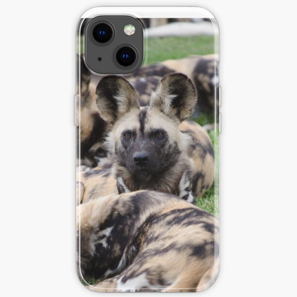 African Painted Dog iPhone case iPhone Soft Case