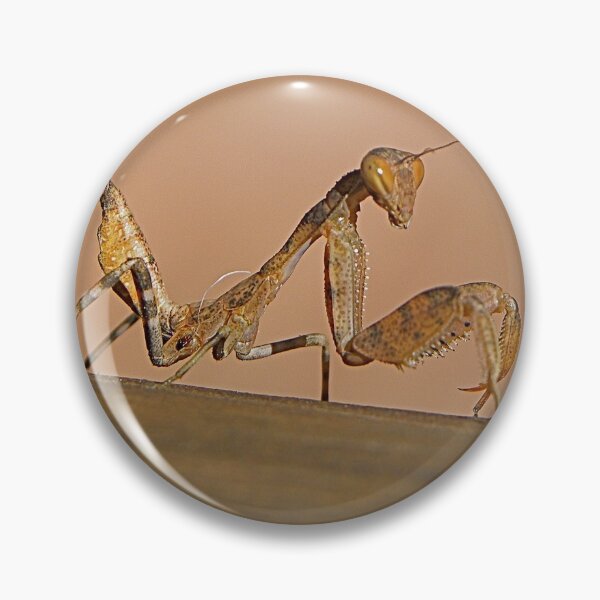 Item preview, walking on tiptoes designed and sold by mamba.