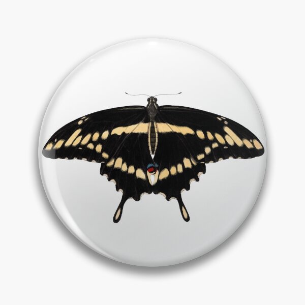 Item preview, Eastern Giant Swallowtail (Papilio cresphontes) designed and sold by JadaFitch.