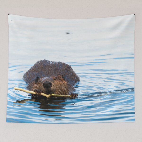 Item preview, Beaver Eating designed and sold by StevenElliot.