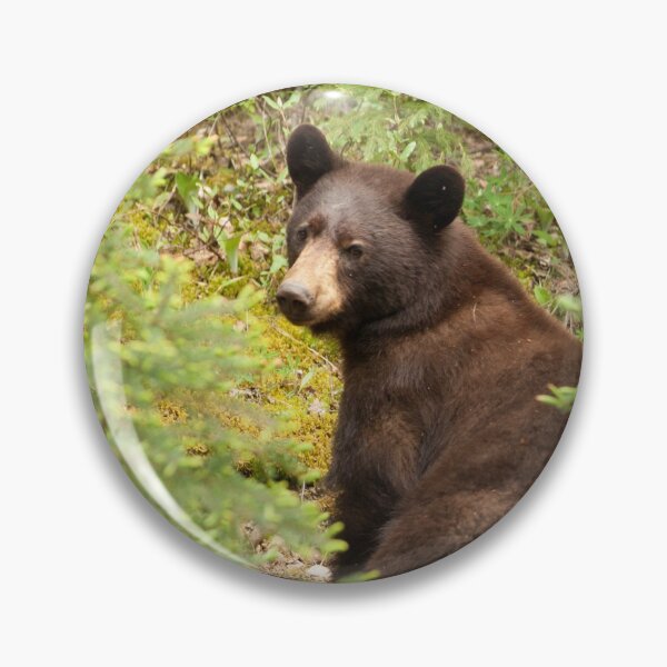 Item preview, Brown Bear designed and sold by StevenElliot.