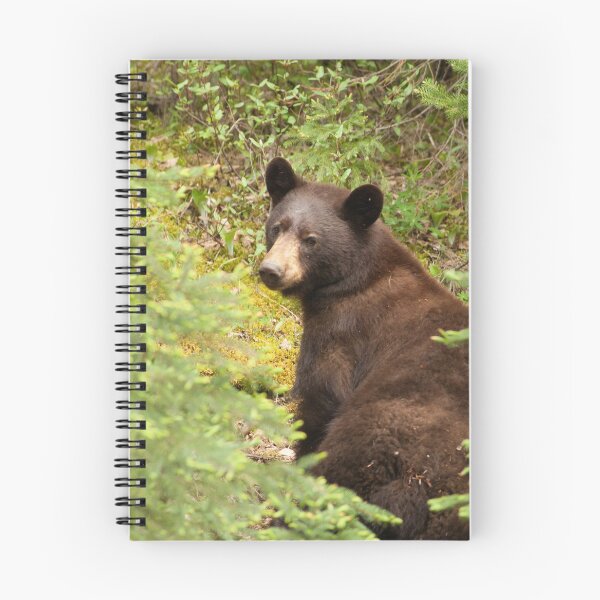 Item preview, Brown Bear designed and sold by StevenElliot.