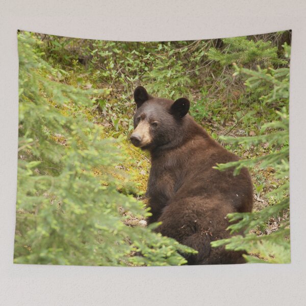 Item preview, Brown Bear designed and sold by StevenElliot.