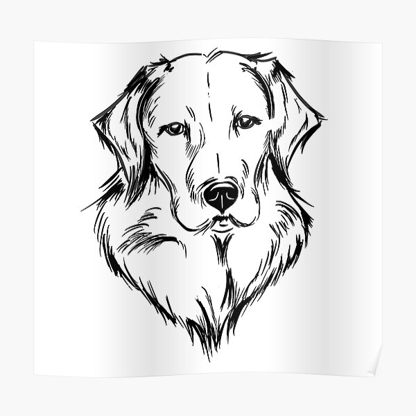 Labrador / Golden Retriever Poster