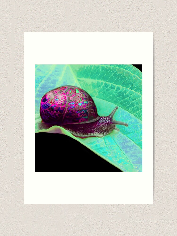 Psychedelic snail tapestry sale