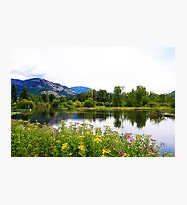 Wildflowers Along the Shuswap Photographic Print