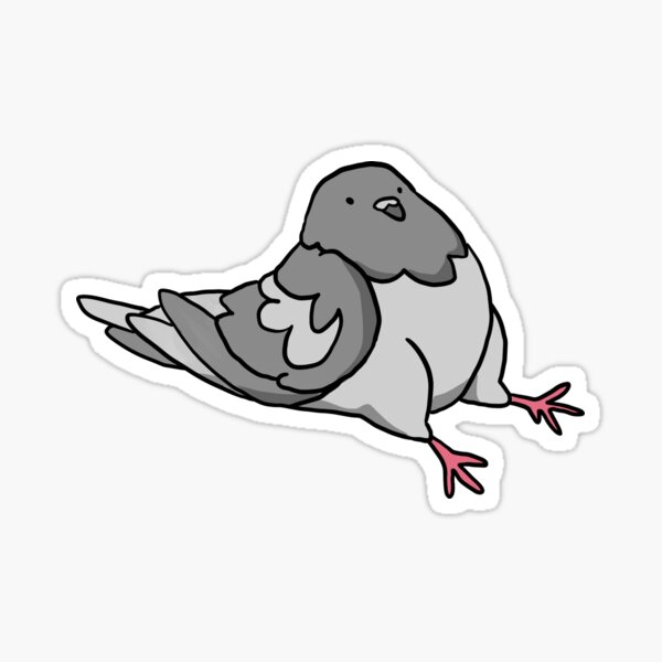 sitting pigeon Sticker