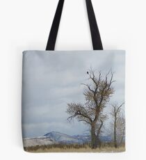 Bald Eagle Perch Tote Bag
