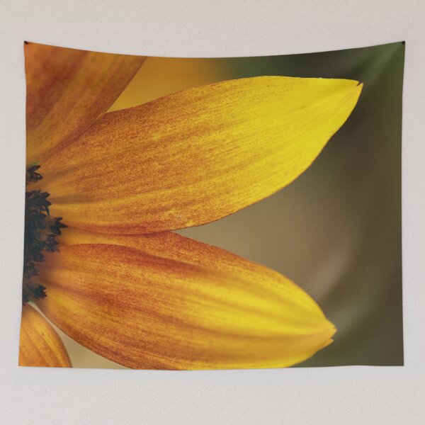 Item preview, Sunflower Macro designed and sold by StampCity.