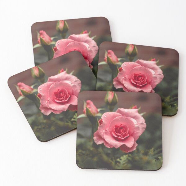 Artikelvorschau, Rosa Blumen-Fotografie entworfen und verkauft von ChangingLight.