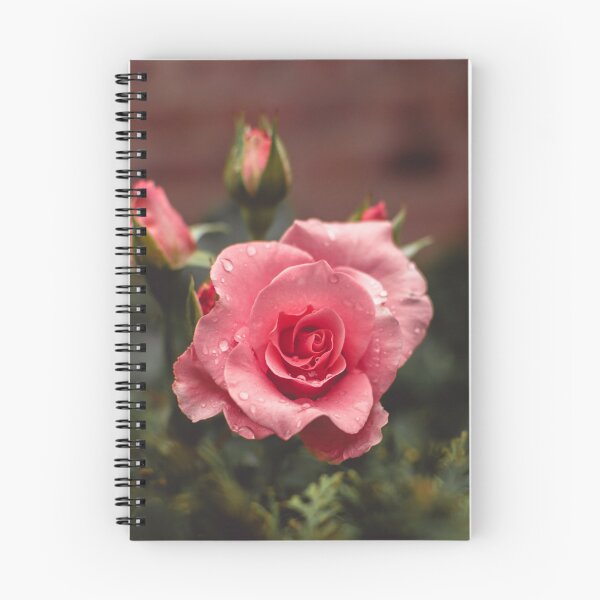 Item preview, Pink Flower Photograph designed and sold by ChangingLight.