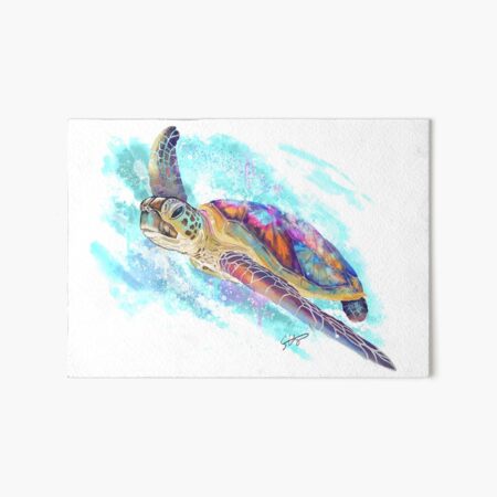 Turtle Giclée Print unframed 0302 Watercolour Painting by Renata Dilyte Turtle Giclée Print unframed 0302 Watercolour Painting by Renata Dilyte