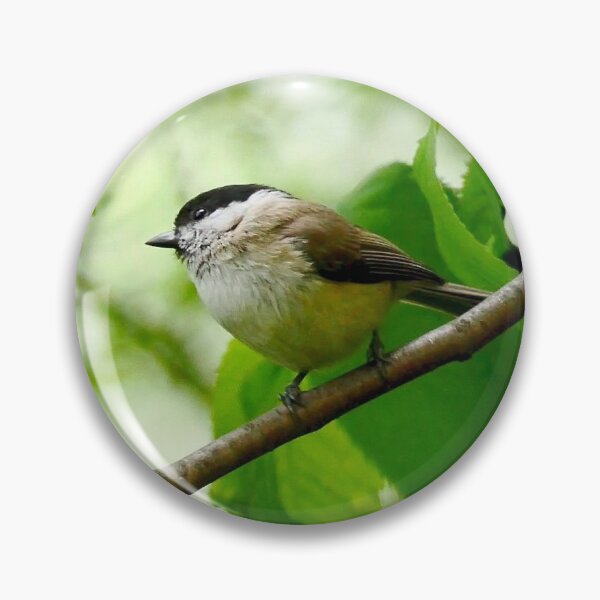 Item preview, Coal Tit designed and sold by MidnightHoots.