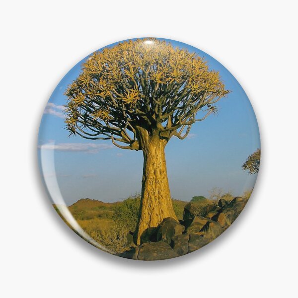Item preview, Quiver tree in the sun setting designed and sold by mamba.