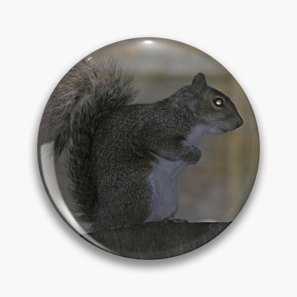 Item preview, spooky squirrel designed and sold by mamba.