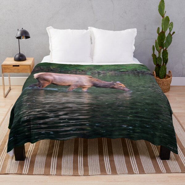 Item preview, An Elk in the River - Benezette, PA designed and sold by Kathy Weaver.