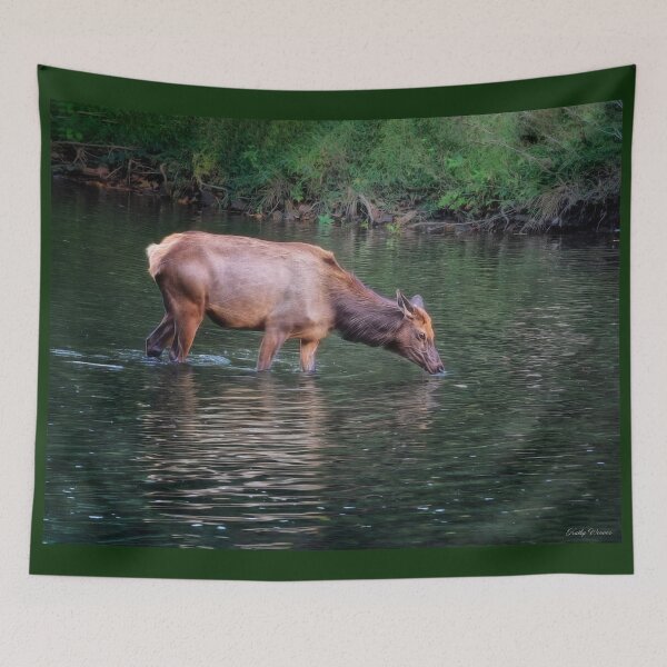 Item preview, An Elk in the River - Benezette, PA designed and sold by Kathy Weaver.