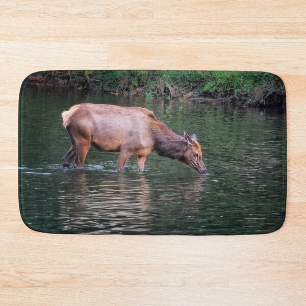 Item preview, An Elk in the River - Benezette, PA designed and sold by Kathy Weaver.