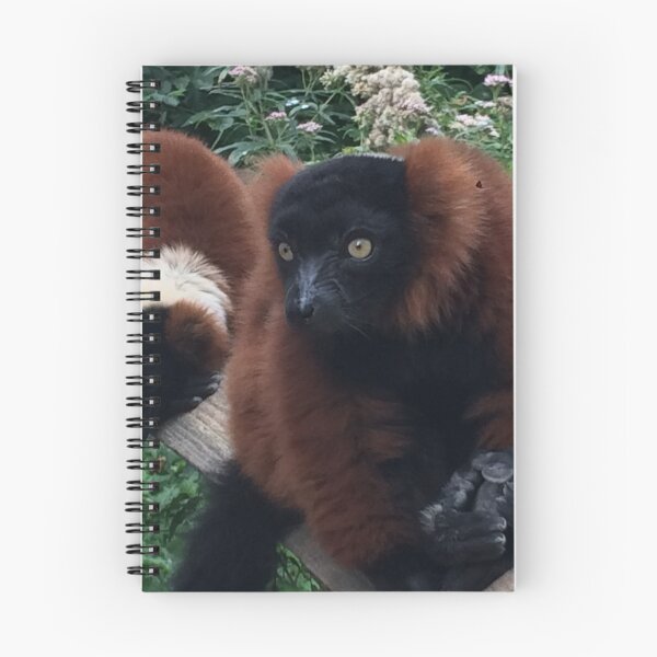 Item preview, Lemur  designed and sold by Emilytheelf.