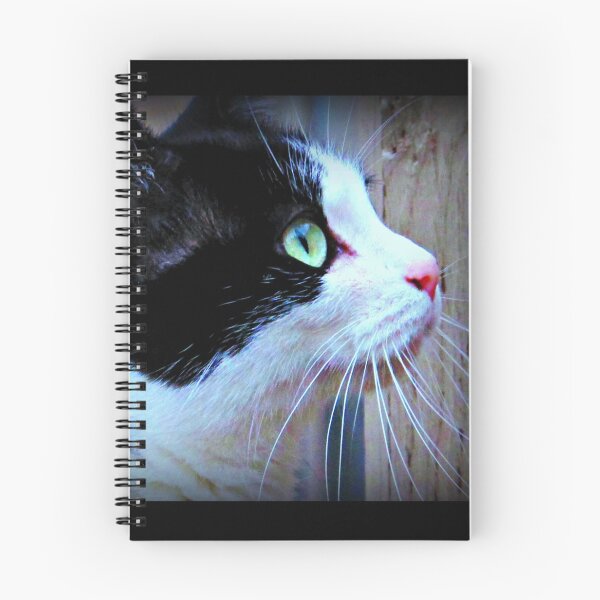 Item preview, Here Present & Accountable {Alive & Well} designed and sold by Vince Scaglione.