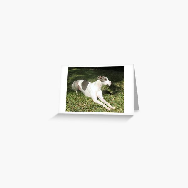 Jackson Greeting Card