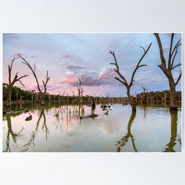 Item preview, Swampy Dawn designed and sold by Downunder Views.