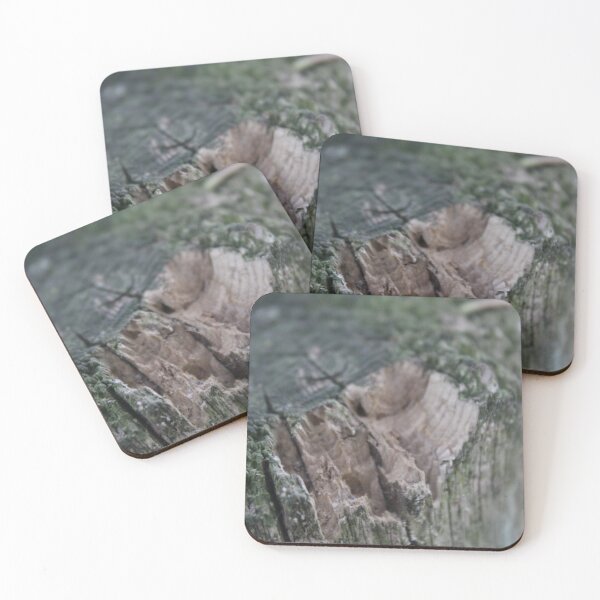 Item preview, Wooden Post designed and sold by Fave101.