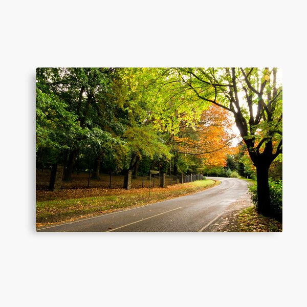 Item preview, Autumn Colours Mt Macedon designed and sold by Russell Charters.