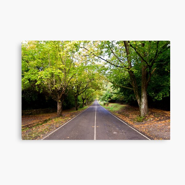 Item preview, Long Road, Mt Macedon designed and sold by Russell Charters.
