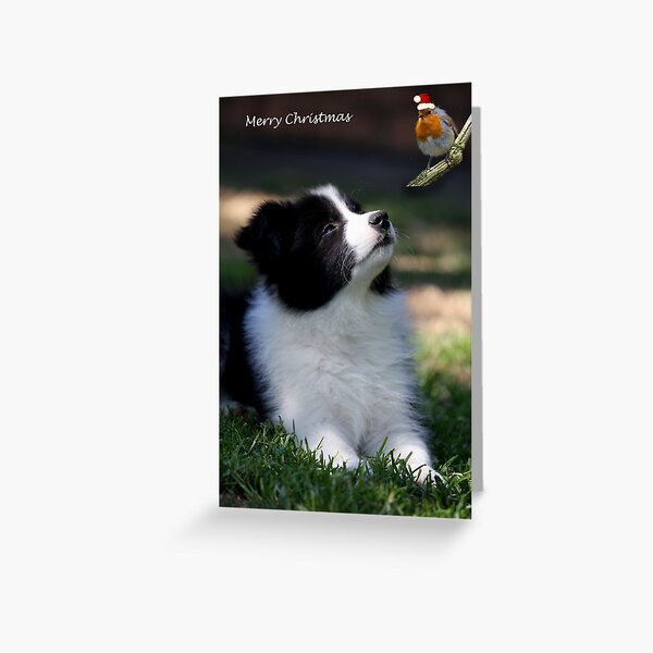 Item preview, Merry Christmas designed and sold by Globalphotos.