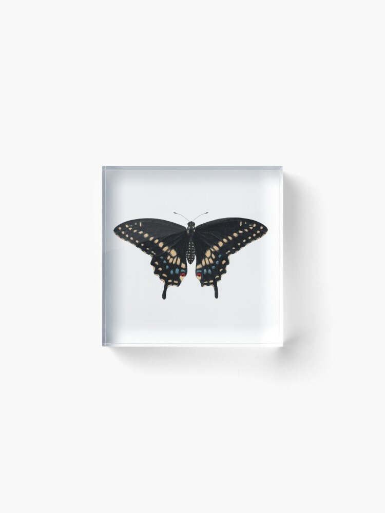 Alternate view of Black Swallowtail (Papilio polyxenes) Acrylic Block