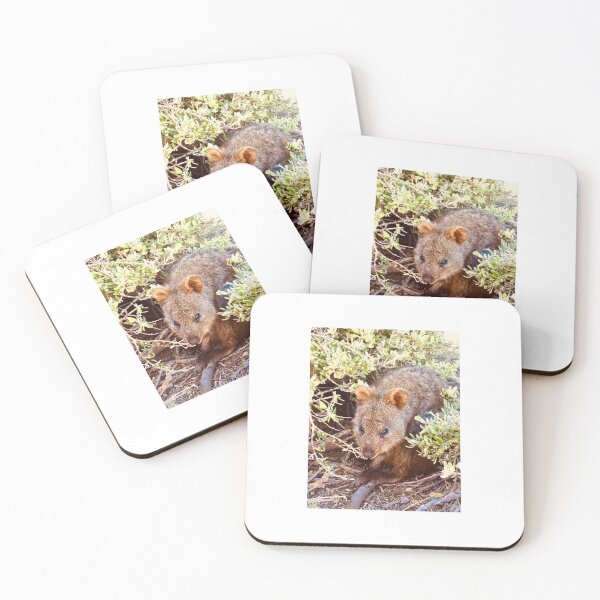 Item preview, Quokka at Rottnest designed and sold by Pebble-Almighty.
