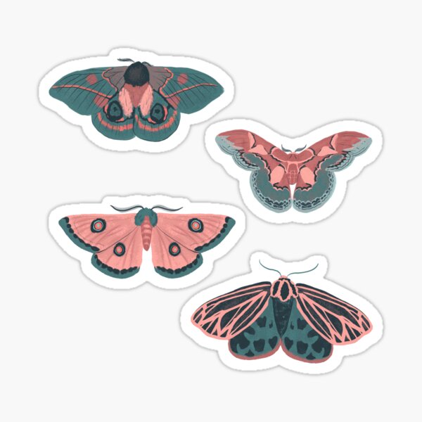 Moth Animal Aesthetic Stickers Colorful Cartoon Moth - Temu