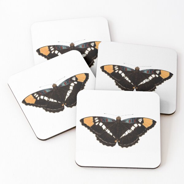 Item preview, California Sister (Adelpha californica) designed and sold by JadaFitch.