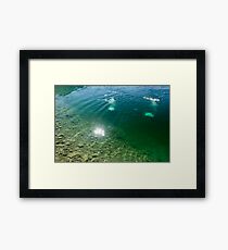 Divers Framed Print