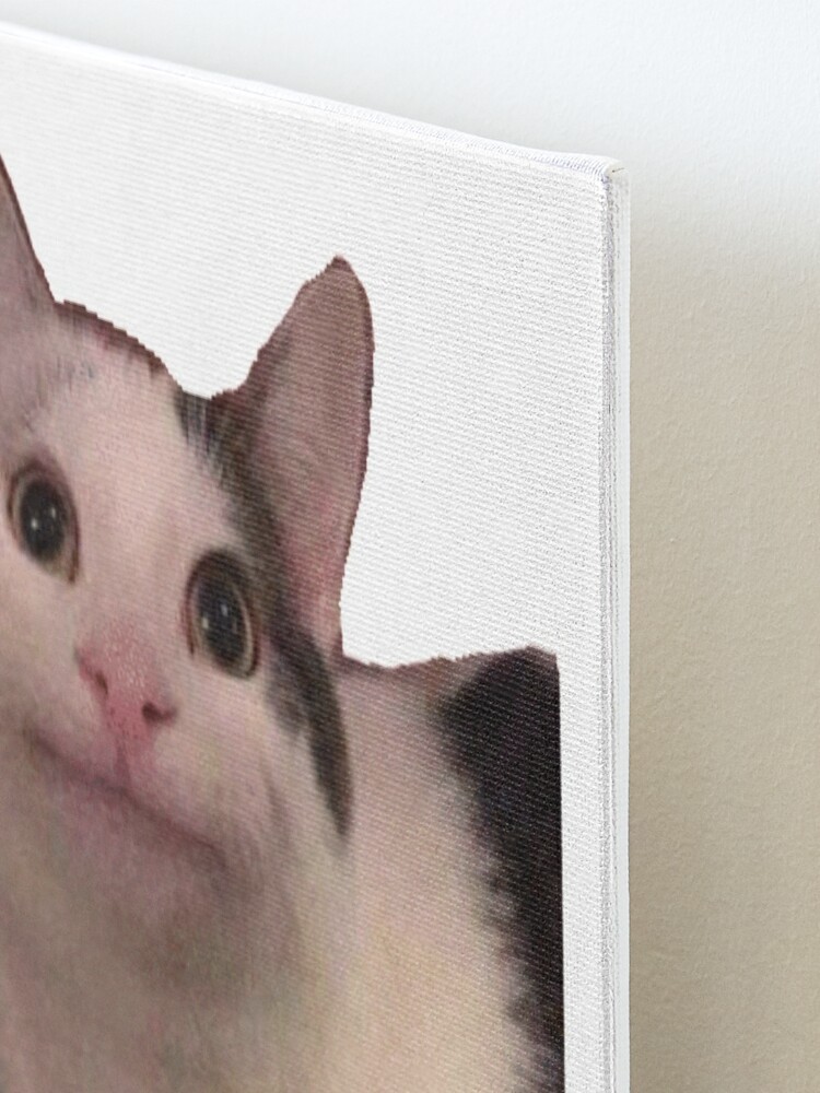 Polite Cat Meme | Photographic Print