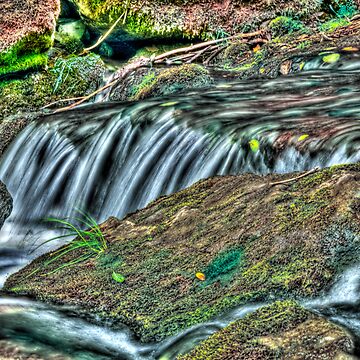 Imagen de la obra Waterfall 4 de Steve Purnell Photography