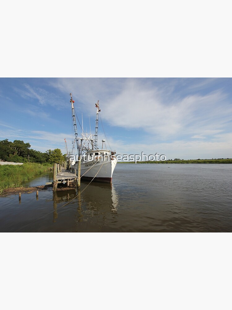 "On the Altamaha" Poster for Sale by autumnseasphoto Redbubble