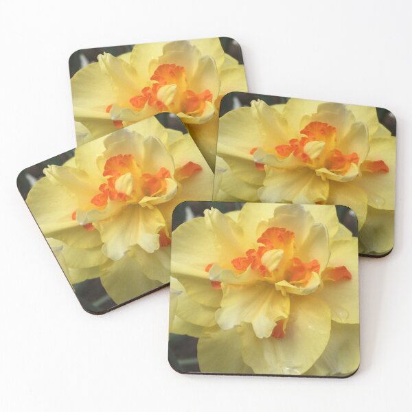 Item preview, Yellow and Orange Daffodil II   designed and sold by zwrr16.