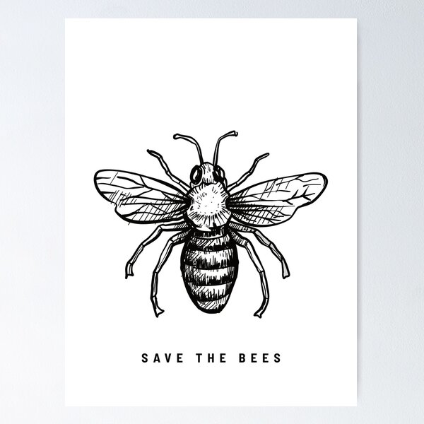 Honey Bee | Bee drawing, Honey bee drawing, Beehive art