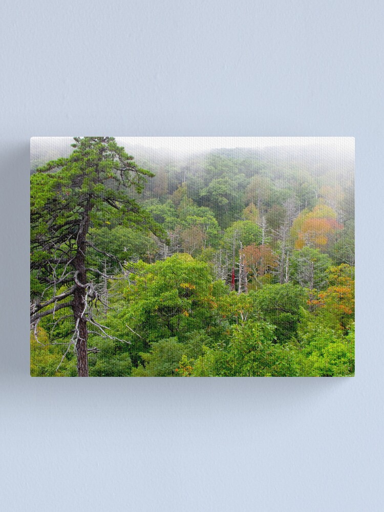 Alternate view of Blue Ridge Autumn 2009 Canvas Print