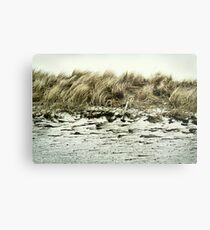 Sand dune Metal Print