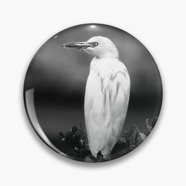 Item preview, Bird on the alert designed and sold by nahuaphoto.