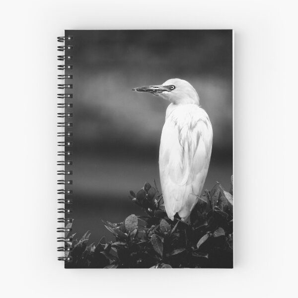Item preview, Bird on the alert designed and sold by nahuaphoto.