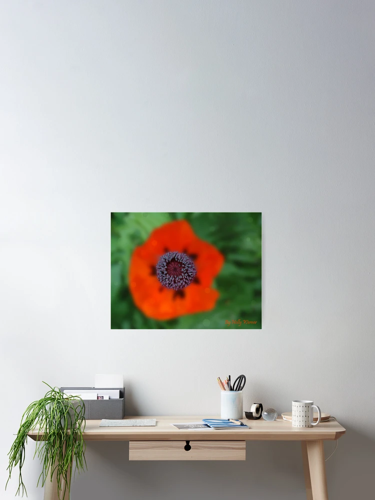 Thumbnail 2 of 3, Poster, Poppy Center designed and sold by Holly Werner.