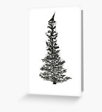 evergreen (haiga X) Greeting Card