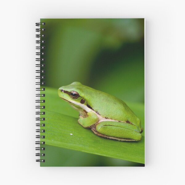 Item preview, Super tiny, Eastern Dwarf Tree Frog  designed and sold by BackyardZoology.