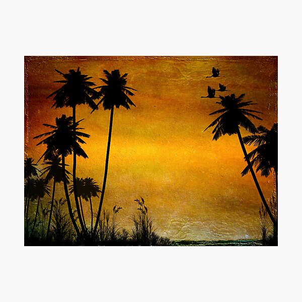 Could Be Paradise Photographic Print